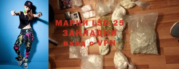 твердый Арсеньев