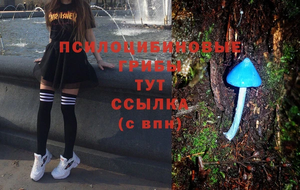 ешки Армянск