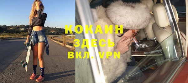 твердый Арсеньев