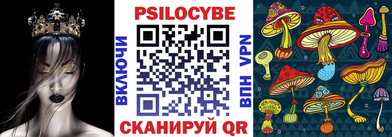 kraken ONION  где купить   Губкинский  Псилоцибиновые грибы прущие грибы 